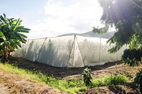 Imagen 24 de 30 de Fina En Venta Quibor Estado Lara, 04245937542