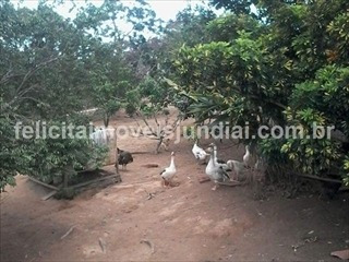 Chácara Caioçara Jarinu - Ch1041