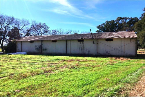 Imagen 19 de 21 de Venta Campo De 195 Ha. En Manzanares Pilar - Único