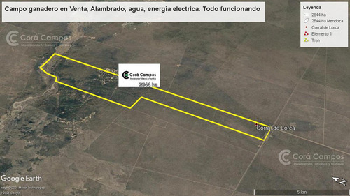 Se Vende Campo Ganadero En Mendoza, Rio Diamante. San Rafael.