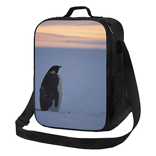 Cute Pingüinos Almuerzo Caja De Picnic Bolsas Animal W62vr