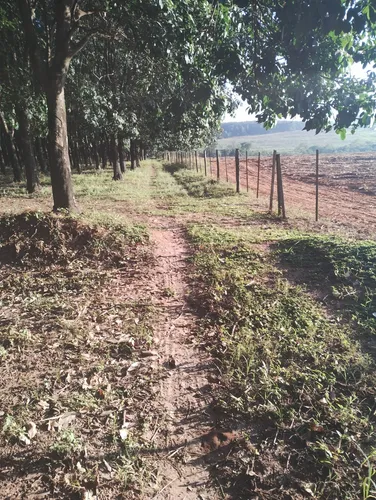 Propriedade Rural