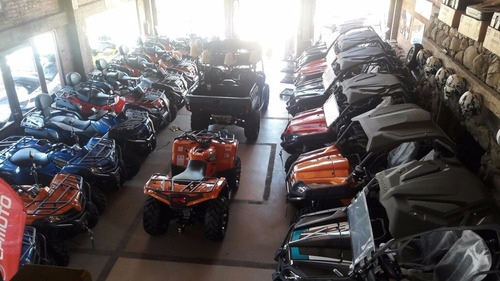 Imagen 13 de 14 de Utv Cuatriciclo Cfmoto 550 Ex 4x4