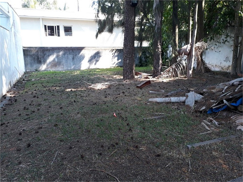 Imagem 7 de 17 de Terreno Granja Julieta? Ao Lado Do Parque Severo Gomes - Reo213015
