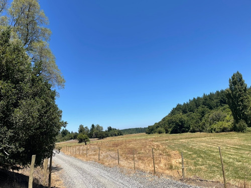 Imagen 8 de 10 de Parcela En Yumbel De 15.000m2