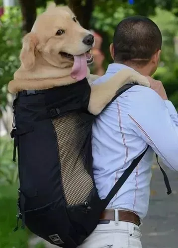 Mochila paseo perro sale