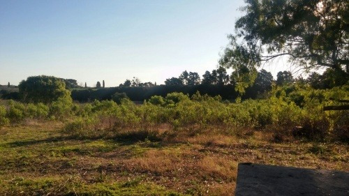 Campo 10 Hás En Paysandú