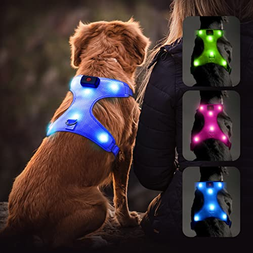 Arnés Led Para Perros Arnés Recargable Por Usb Con Luz Chale