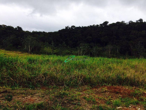 Terreno À Venda, 1372 M² Por R$ 490.000,00 - Parque Residencial Jequitibá - Jacareí/sp - Te0156