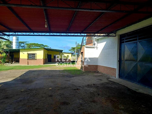 Imagen 4 de 15 de En Venta Finca De 45 Hectáreas De Terreno Plano, A Orilla De Carretera En El Alto, Yaracal.