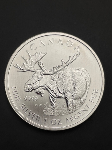 Onza Canada Alce De Plata Pura De Coleccion