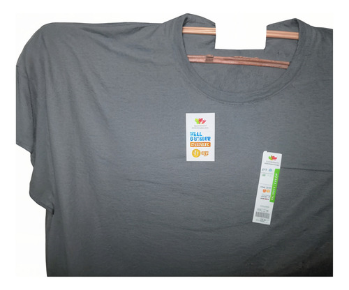 Camiseta Gris Casual Cuello Redondo Talla 4x Fruit Of The Lo