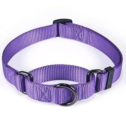 Ciclpet Nylon Ajustable Martingale Dog Lqrxi