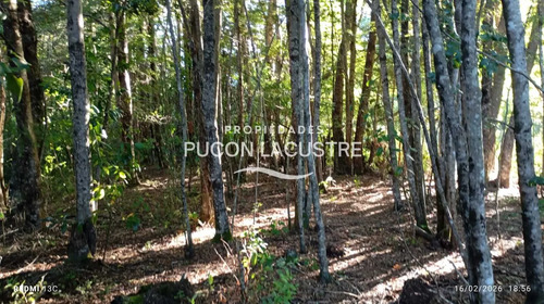 Parcela A Minutos Del Lago Caburgua (171361)