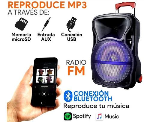 Parlante Portatil 12 4000w Bateria Bluetooth Usb Radio Inalambrico Recargable 12 Y 220v + Microfono + Sonido Luces Led
