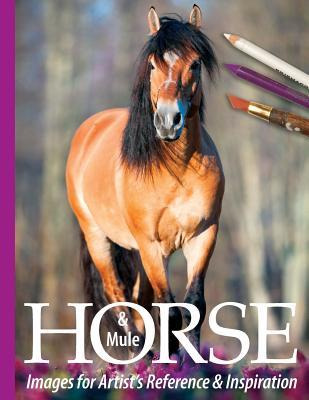 Libro Horse And Mule Images For Artist's Reference And In...