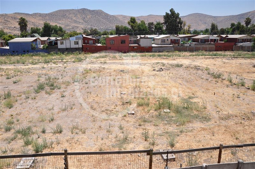 Arrienda Terreno 5.000 M2 En Huechuraba