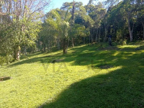 Imagem 12 de 30 de Sítio À Venda Em Juquitiba, Excelente Localização Na Rodovia Régis Bittencourt, Ideal Para Lazer, Moradia Ou Comercio - 85 - 70324044