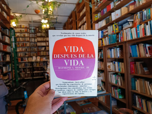 Vida Después De La Vida. Raymond A Moody Jr. (Usado)