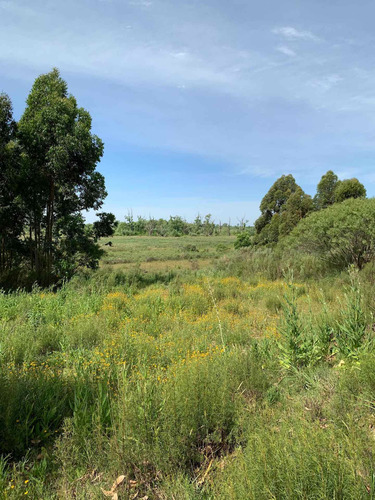 Chacra En El Pinar 10 Hectáreas, Venta