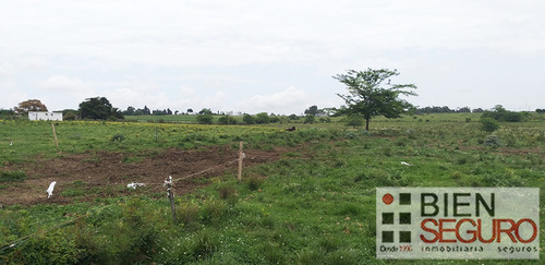 Chacra De 36,2440 Hás, Monte Nativo En Venta En Toledo Chico