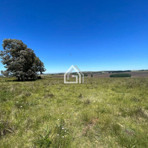 Lote En Venta Ruta 30 Y Los Teros