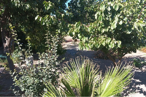 Casa En Bollenar 5d 2b 154/1031m2. Conversable