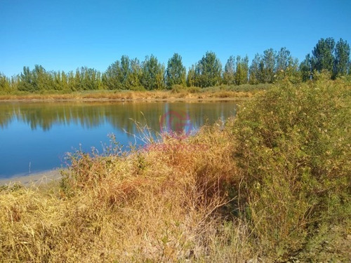 Imagen 4 de 9 de Greenwood Alquila Finca Productiva De 88ha Con Agua De Pozo Y Derecho De Riego