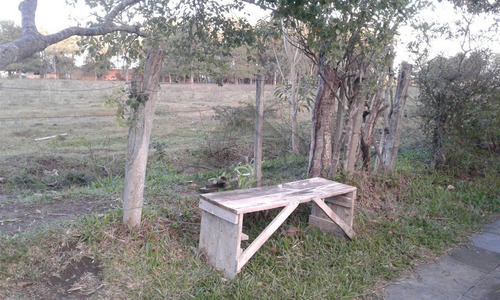 Imagem 19 de 27 de Casa - Ca00776 - 67720491