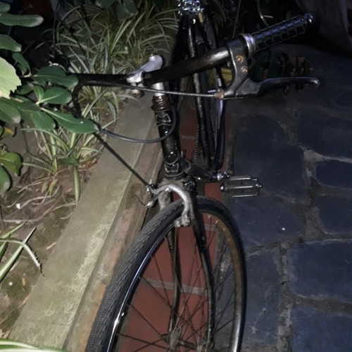 Bicicleta Paseo Rodado28