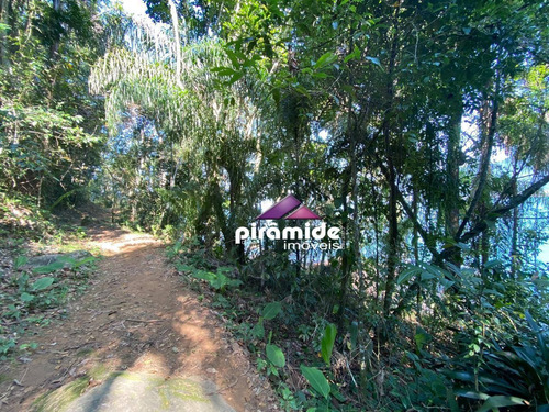 Imagem 9 de 10 de Terreno À Venda, 4000 M² Por R$ 900.000,00 - Lagoinha - Ubatuba/sp - Te1233