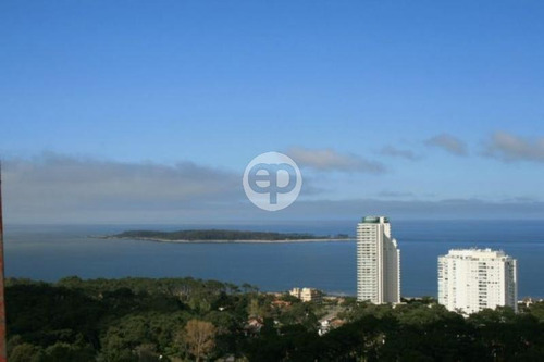 Departamento - Roosevelt