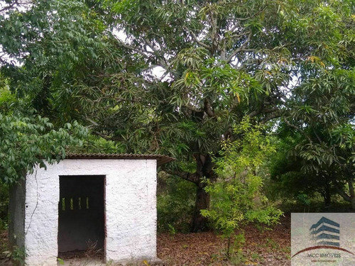 Imagem 11 de 16 de Granja A Venda Massaranduba