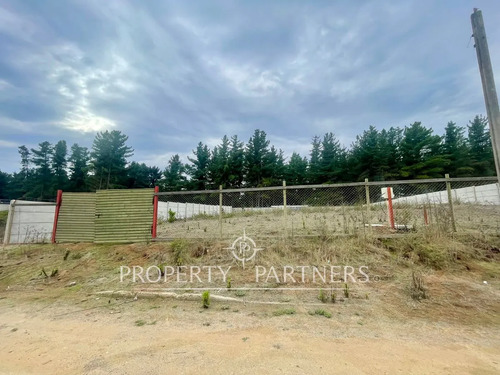 Terreno Urbanizado De 1.586 M² En Los Pinos, Reñac...