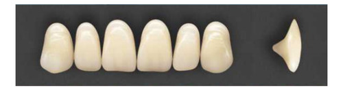 Bolsa Para Tablilla De Dientes Acrilico Newcryl C/1 Set