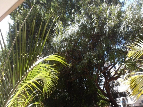 Imagem 15 de 15 de Apartamento - Ap00942 - 3391464