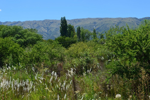 Imagen 3 de 8 de Lote De 500m2 En Los Molles