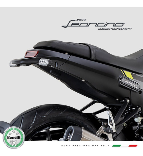 Imagen 8 de 24 de Benelli Leoncino 250 Abs