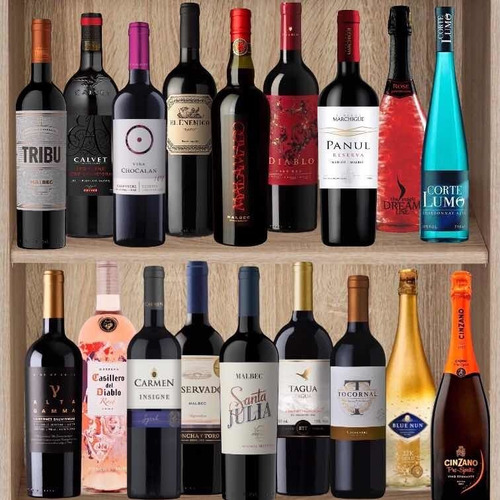 Vino Maipo 750 Ml