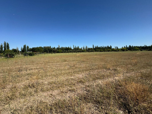 Finca A La Venta En San Rafel -gran Oportunidad