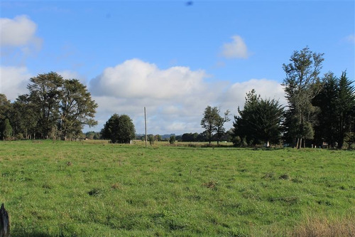 Imagen 25 de 30 de Agrícola En Venta En Puerto Varas