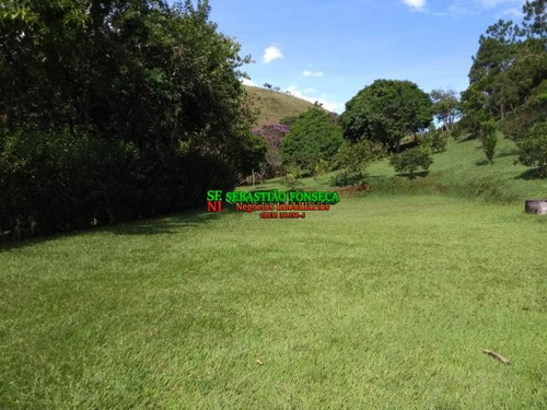 Imagem 8 de 15 de Lindo Sítio Com Nascente E Muita Área Verde - 2002