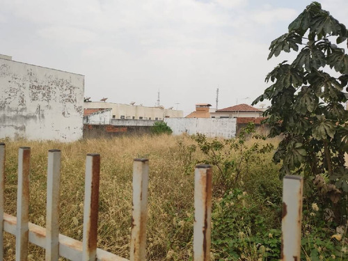 Imagem 3 de 8 de Terreno Plano - 23749