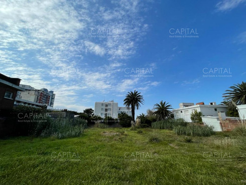 Imagen 9 de 11 de Excelente Terreno En Venta - Península Punta Del Este - Punta Del Este Peninsula