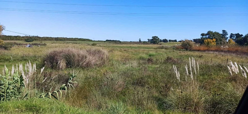 Venta Sauce Ruta 6 Km 44 , 8 Hectáreas, Tajamar