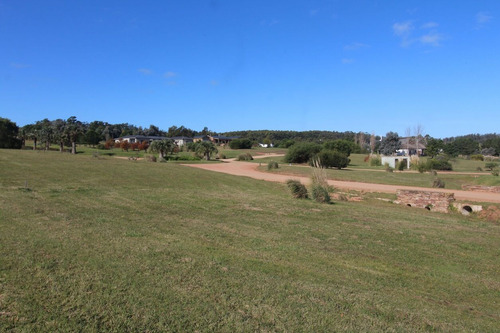Imagen 9 de 19 de Terreno En Venta En Pueblo Mio
