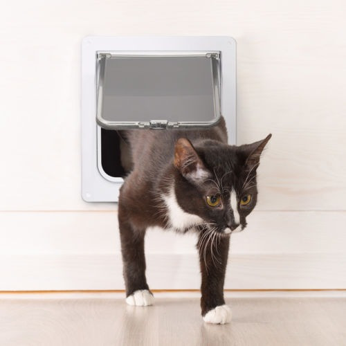 Imagen 2 de 5 de Mascota Gato Puerta Kitty Pase Interior Oculta Perro Forma D