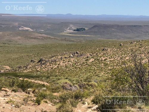 Imagen 22 de 28 de 8.805 Has En Neuquen Venta / Alquiler, Con 18 Km De Costa Del Embalse Piedra Del Águila.