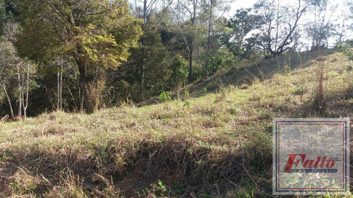 Imagem 9 de 12 de Área Para Venda Em Itatiba, Jardim Nossa Senhora Das Graças - Ar0002_2-1184010