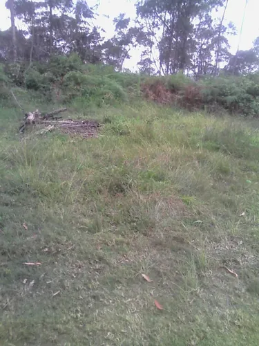 Terreno Sector Alto Fogón